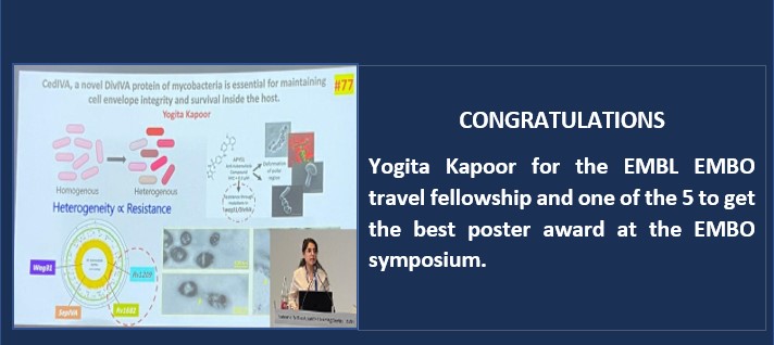 EMBL EMBO Travel Fellowship
